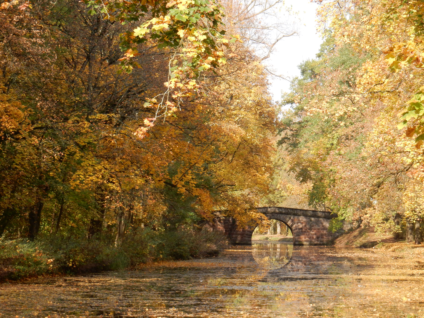 Idyll am Alten Kanal